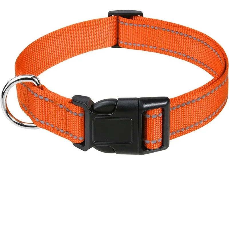 Adjustable Nylon Dog Collar for Small & Medium Dogs