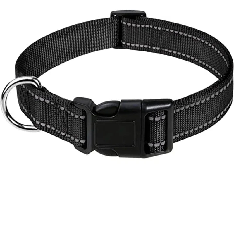 Adjustable Nylon Dog Collar for Small & Medium Dogs