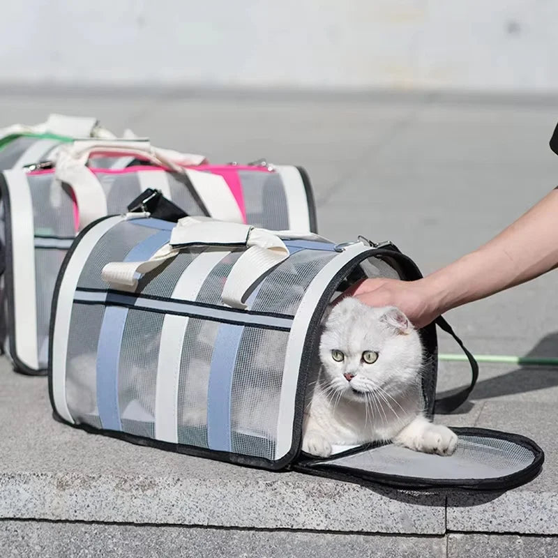 Foldable Mesh Travel Carrier for Dogs & Cats