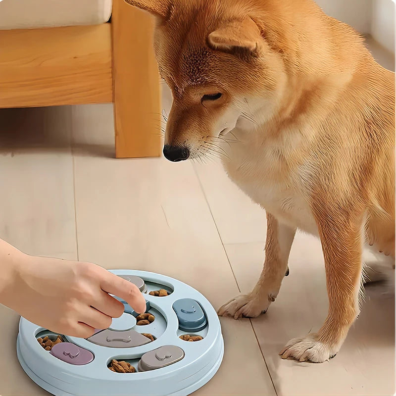 Dog Puzzle Treat Toy
