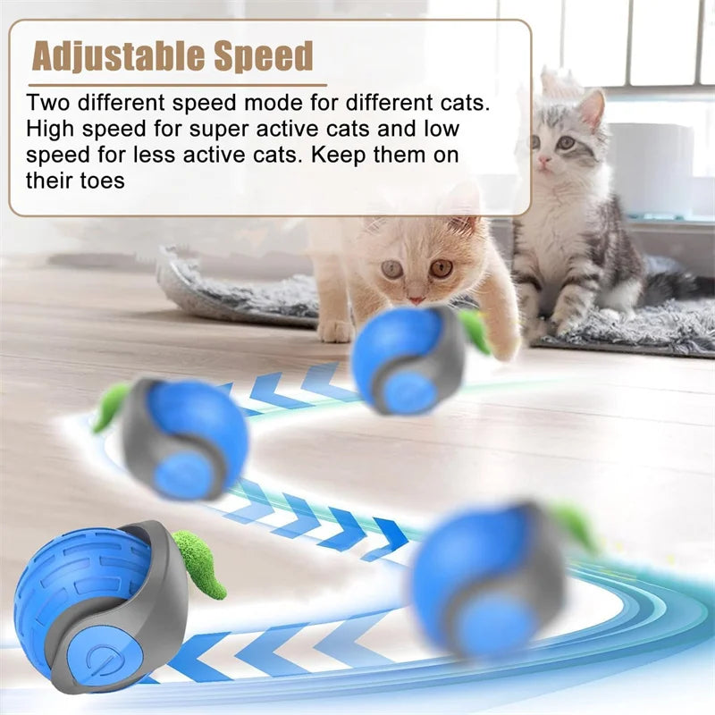 Automatic Bouncing Cat Ball – Rechargeable