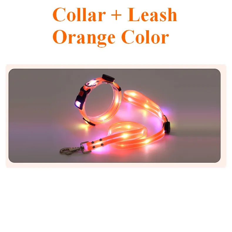LED Light-Up Dog Leash – USB Rechargeable