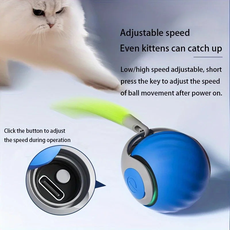 Automatic Bouncing Cat Ball – Rechargeable