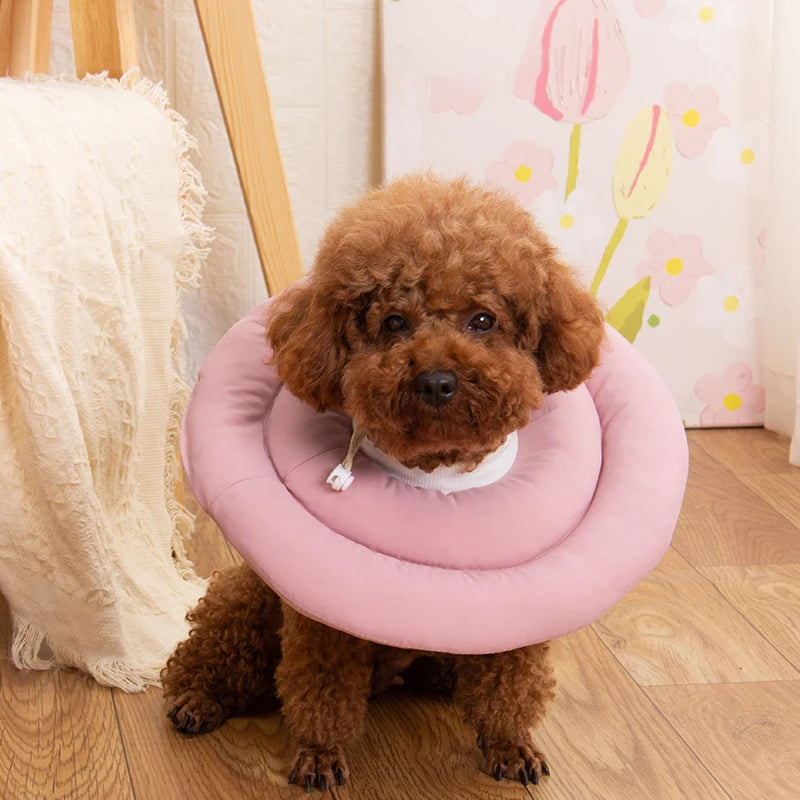Adjustable Recovery Cone for Dogs (Elizabethan Collar)