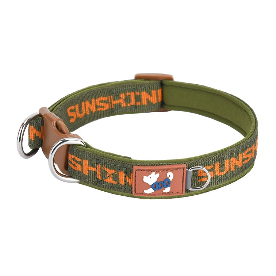 Adjustable Dog Collar with Two Metal D-Rings