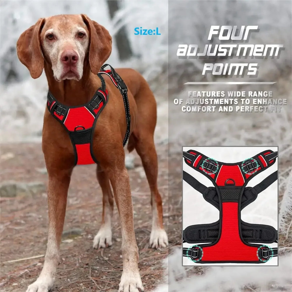 Leather Collar, Harness & Leash Set