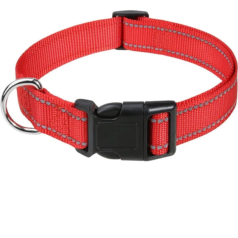 Adjustable Nylon Dog Collar for Small & Medium Dogs