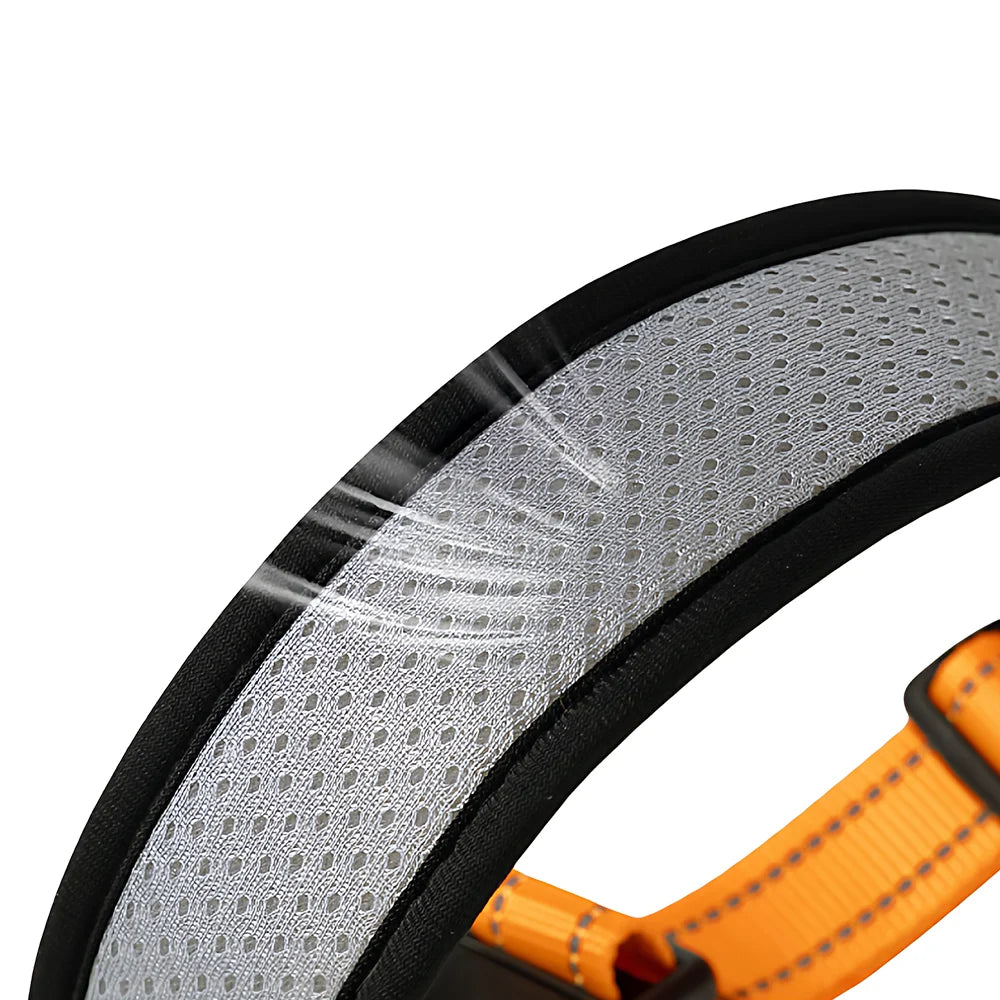 Adjustable Dog Walking Collar