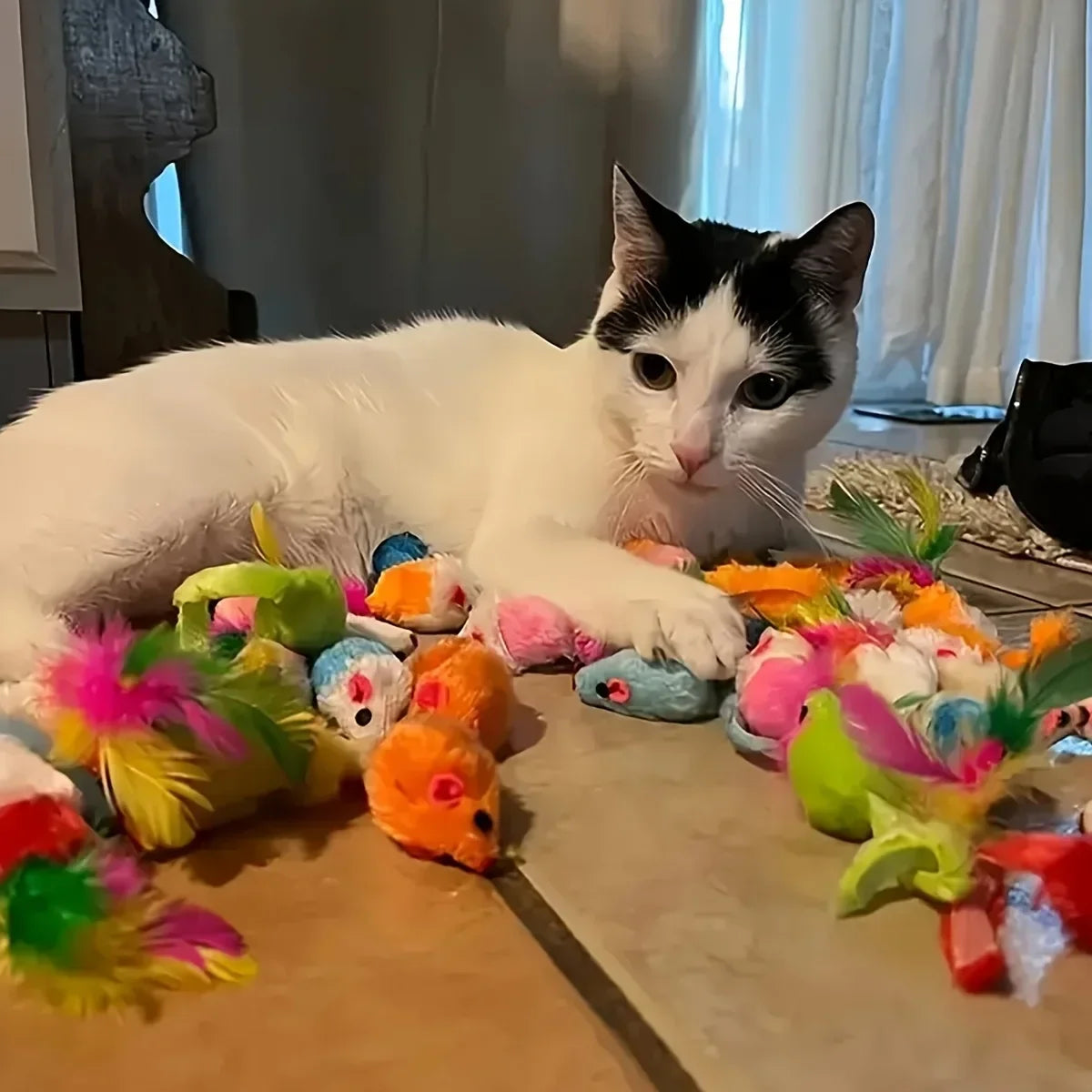 Cat Toy Variety Pack (14–56 pcs)
