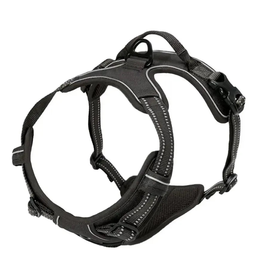 Leather Collar, Harness & Leash Set