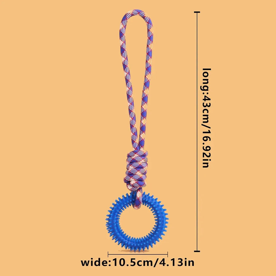Spiked Dental Ring Dog Toy