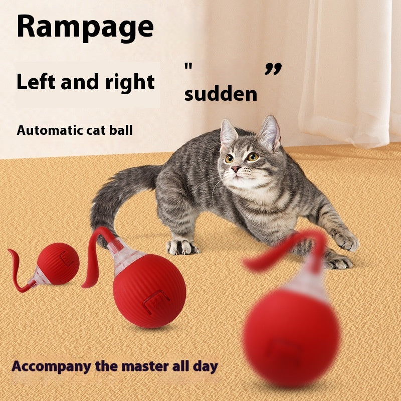 Self-Rolling Cat Ball with Tail – Interactive Toy