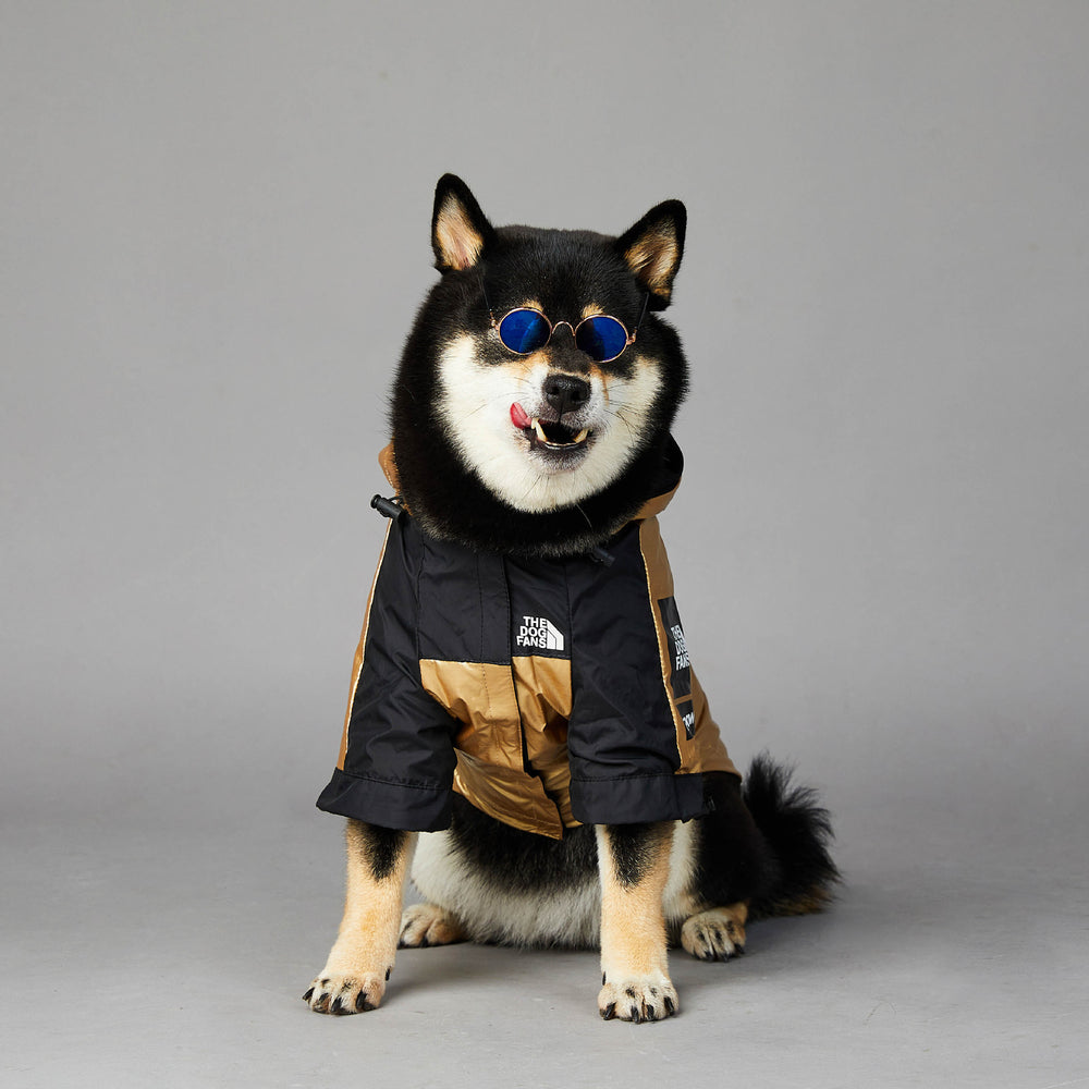 Dog Raincoat Jacket – Waterproof, S–5XL