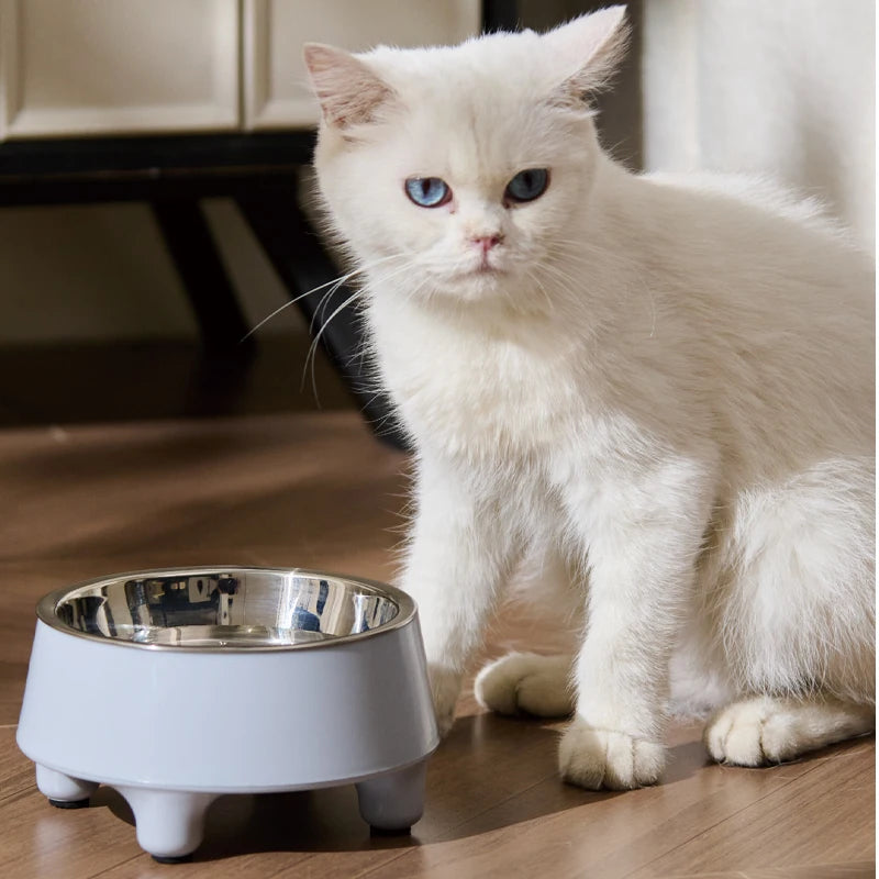 New Elevated Pet Food and Water Bowls Raised with Stainless Steel Bowl for Small Dogs Cats Washable Easy To Cleaning Pet Product