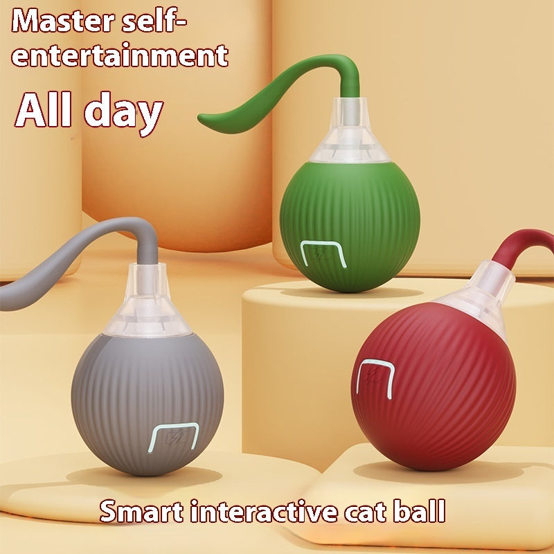 Self-Rolling Cat Ball with Tail – Interactive Toy