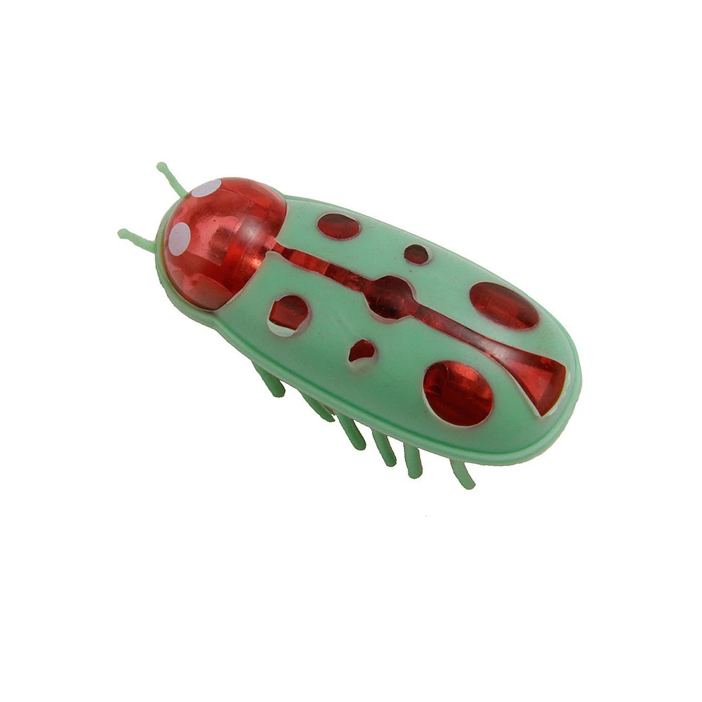 Electric Bug Cat Toy
