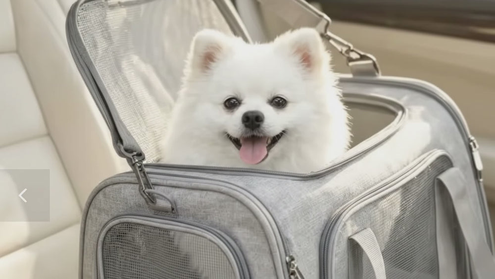 Ventilated Pet Carrier Backpack