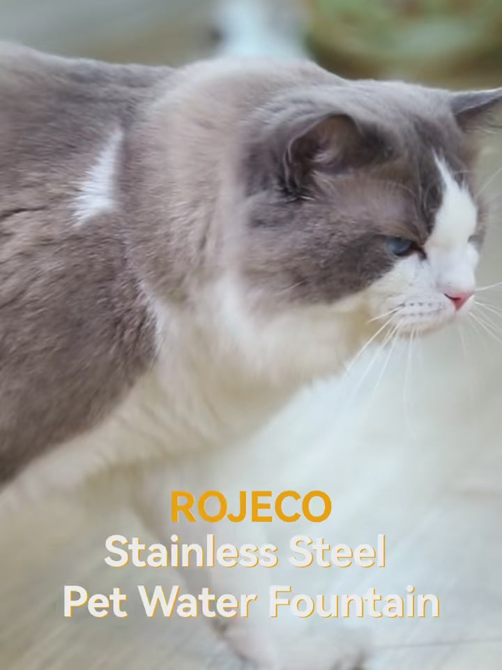 Stainless Steel Cat Water Fountain 2L – Filtered, for Cats & Dogs